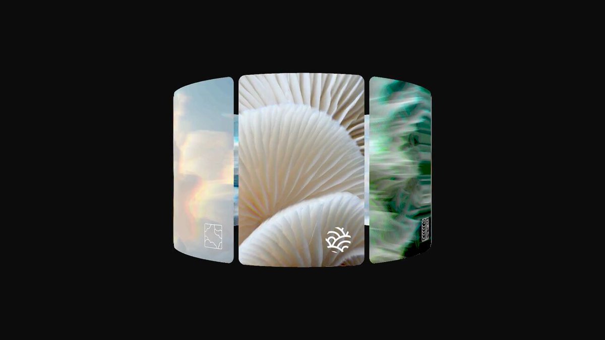 Abstract 3D Mushroom Cards
